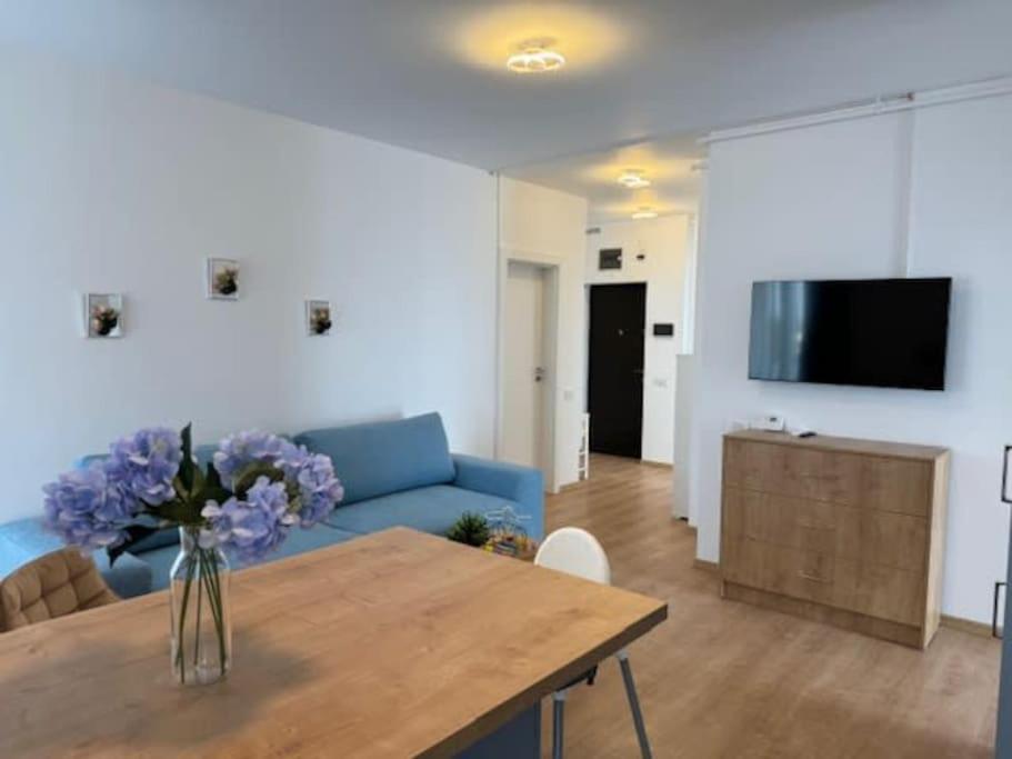 Apartment Joy Vivalia 7b-25 Timişoara